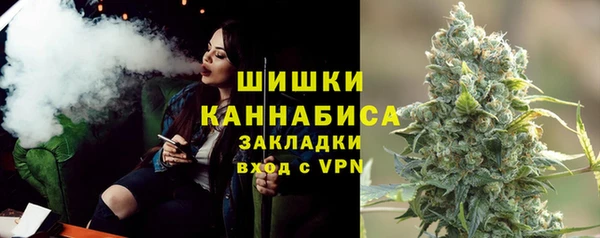 ГАЛЛЮЦИНОГЕННЫЕ ГРИБЫ Балахна
