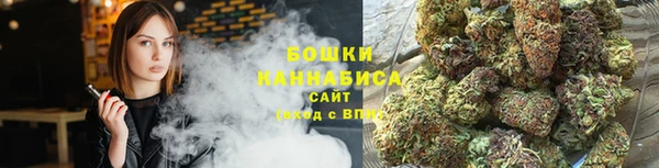 ГАЛЛЮЦИНОГЕННЫЕ ГРИБЫ Балахна