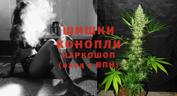 молекула духа Балабаново