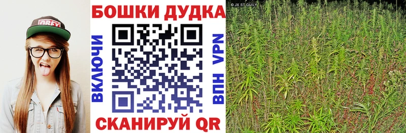 Каннабис AK-47  магазин продажи наркотиков  Тейково 